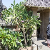 Bali2015-13-003